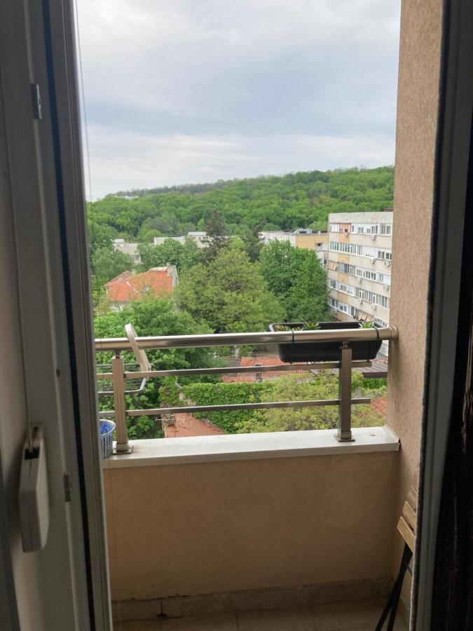 Forest View Belgrad