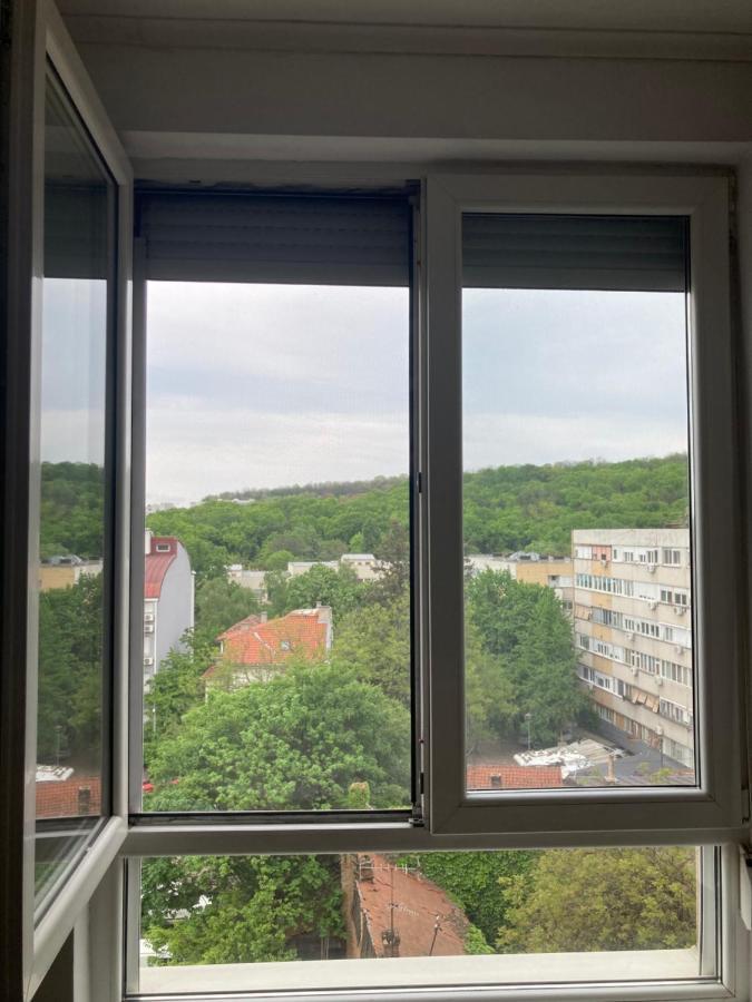 Forest View *
