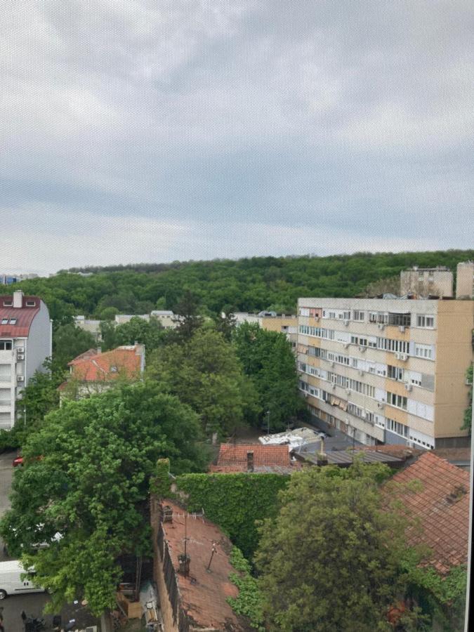 Forest View